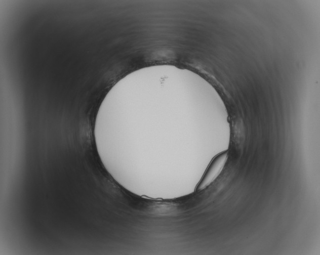 X0000102310617200808221447