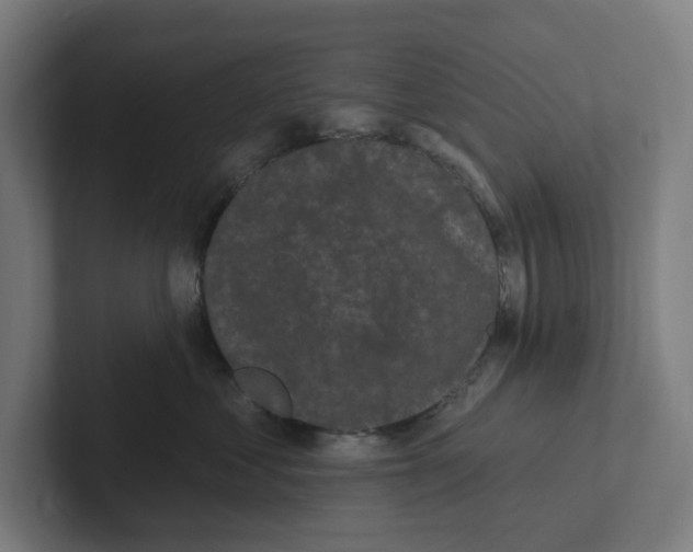 X0000102310621200808221447