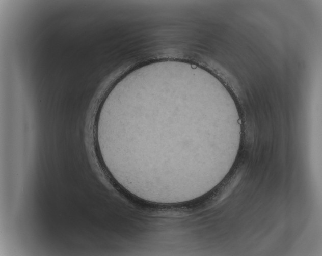 X0000102310625200808221447