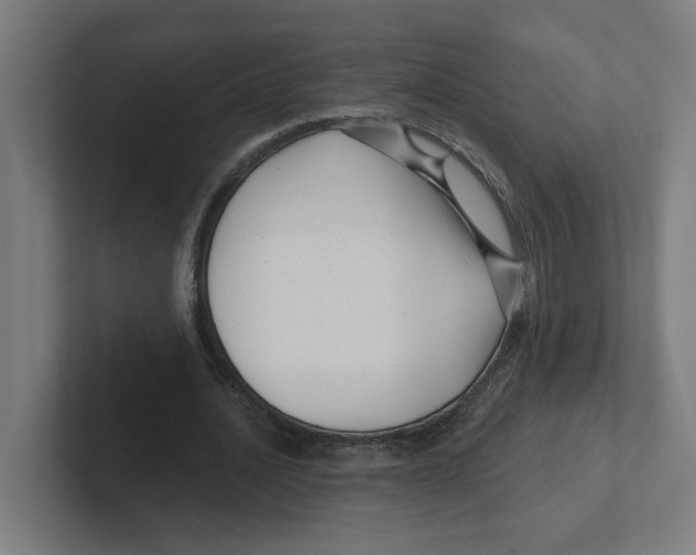 X0000102310628200808221447