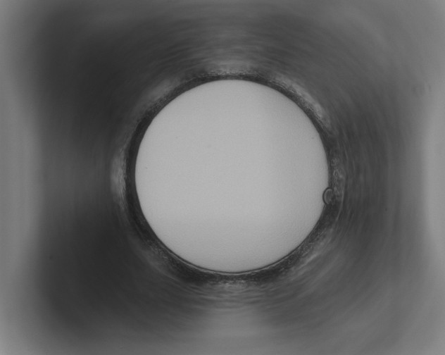 X0000102310631200808221447