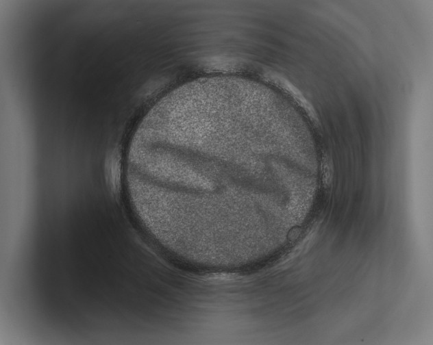 X0000102310637200808221447