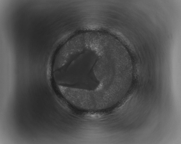 X0000102310640200808221447