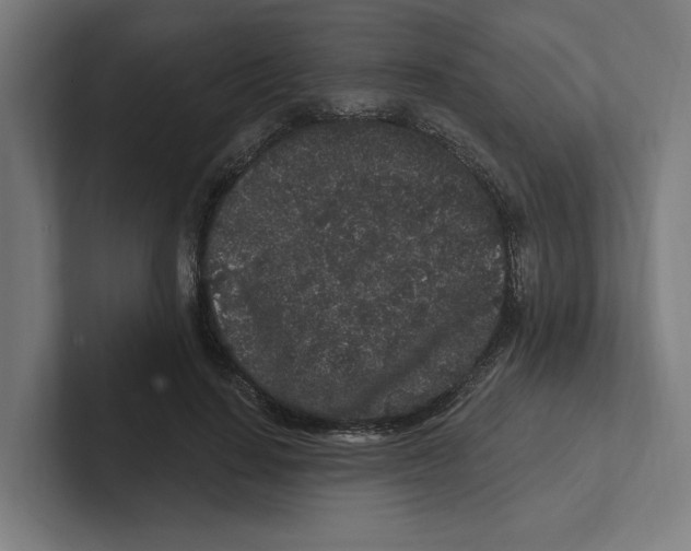 X0000102310644200808221447