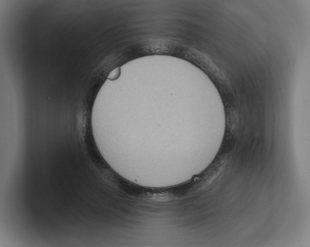 X0000102310645200808221447
