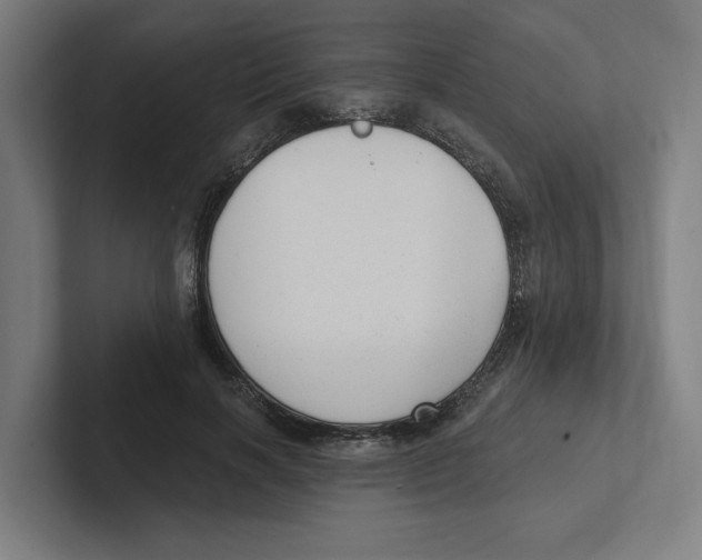 X0000102310646200808221447
