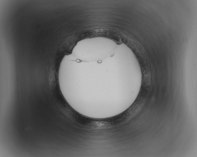 X0000102310654200808221447