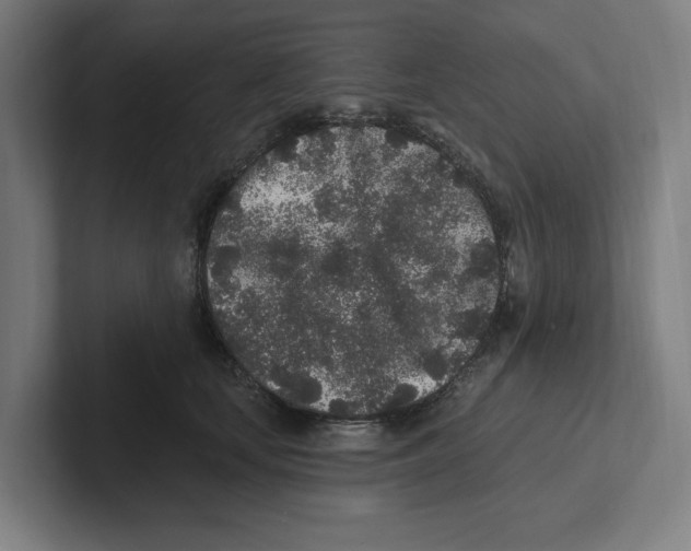 X0000102310659200808221447
