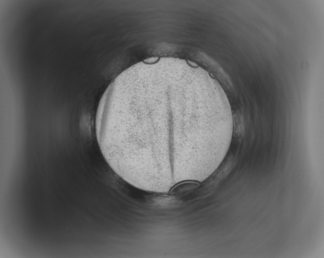 X0000102310669200808221447