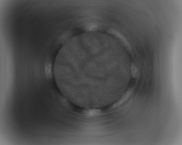 X0000102310670200808221447