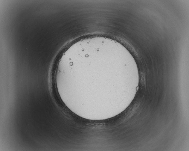 X0000102310676200808221447