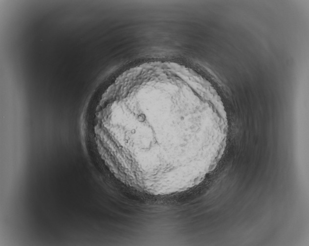 X0000102310679200808221447