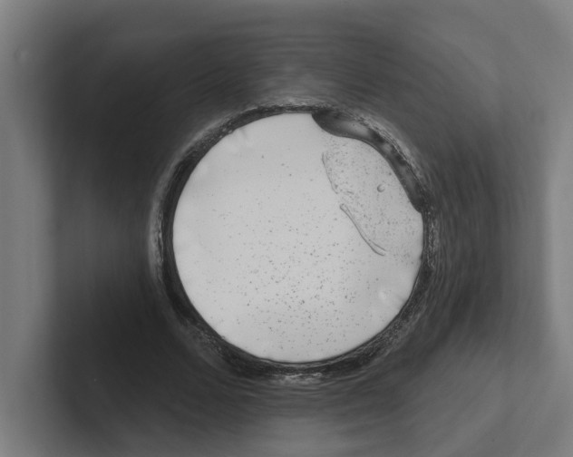 X0000102310680200808221447