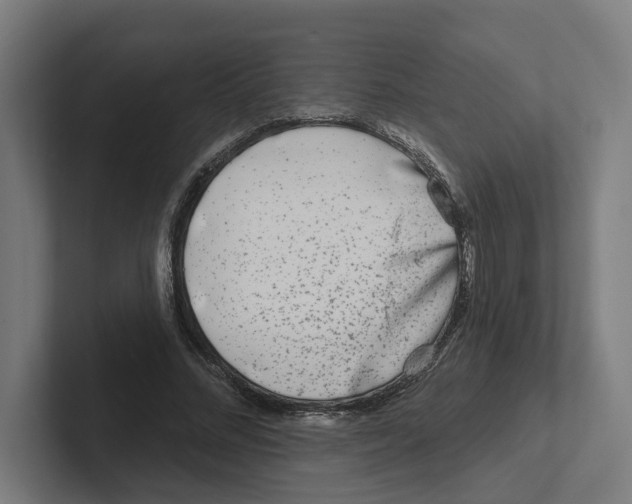X0000102310684200808221447