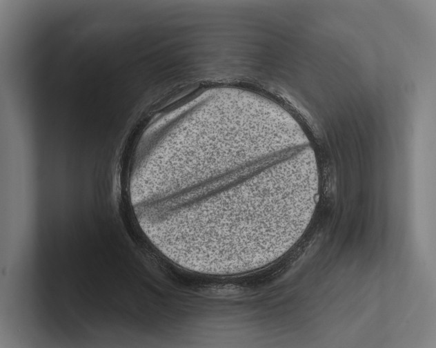 X0000102310685200808221447