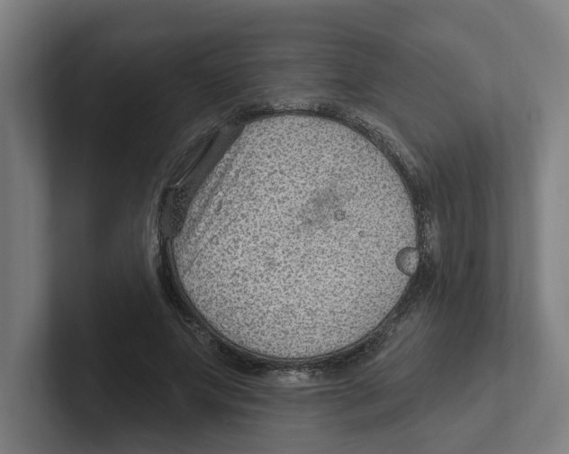 X0000102310687200808221447