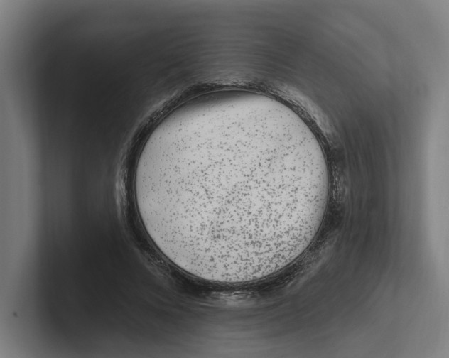 X0000102310688200808221447
