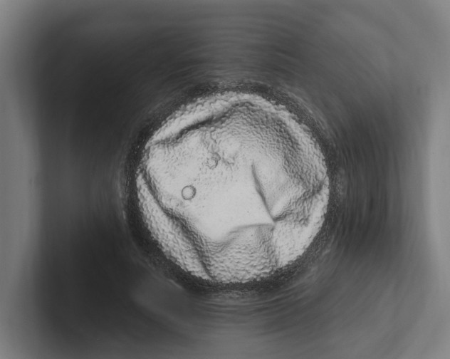 X0000102310691200808221447