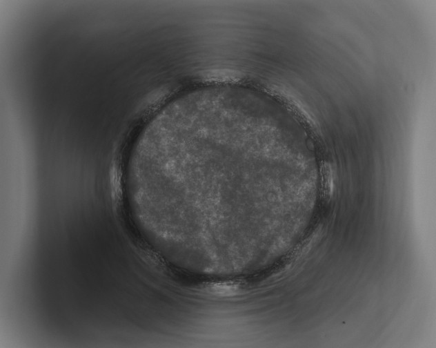 X0000102310692200808221446