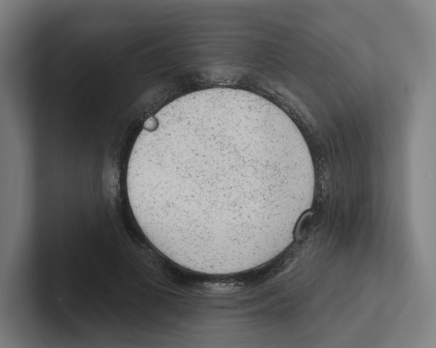 X0000102310693200808221446