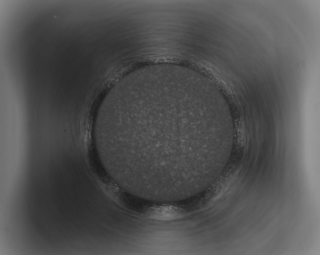X0000102310695200808221446