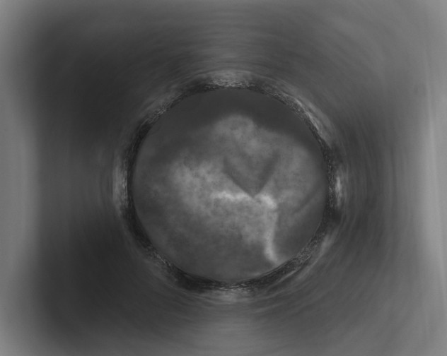 X0000102310696200808221446