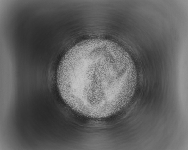 X0000102310699200808221446