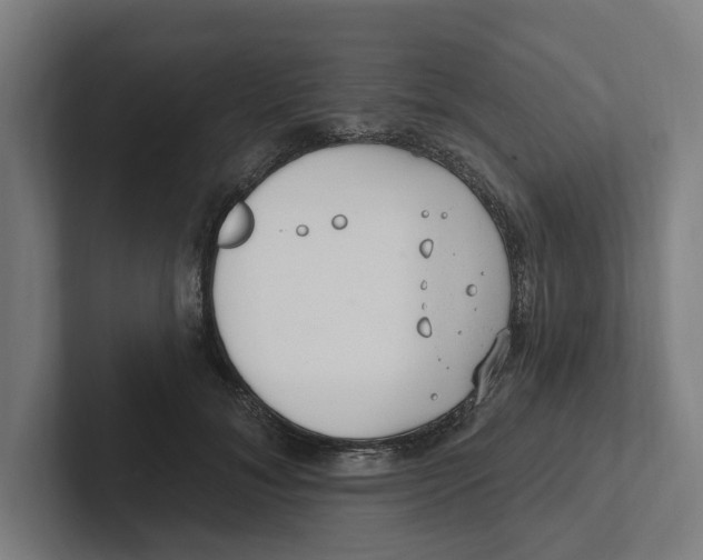X0000102310700200808221446