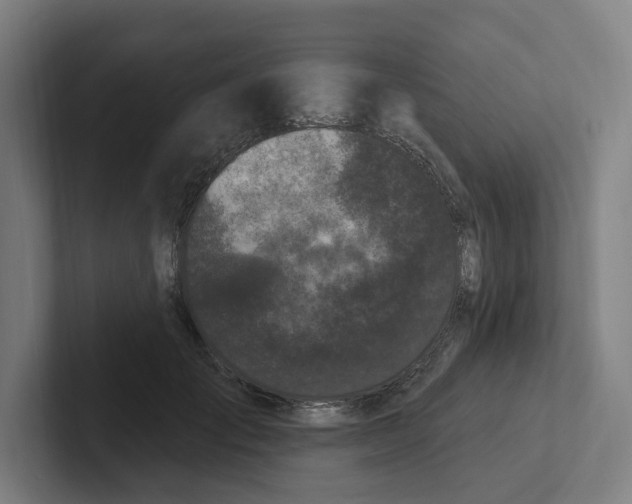 X0000102310701200808221446