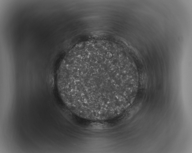 X0000102310703200808221446