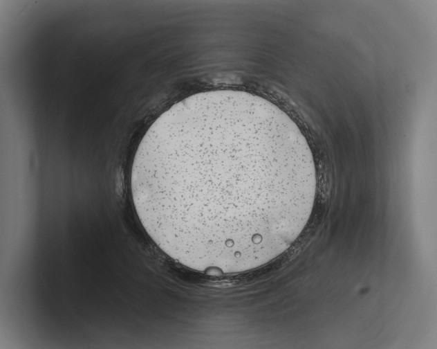 X0000102310704200808221446