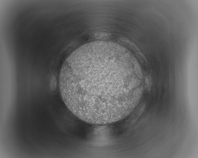 X0000102310705200808221446