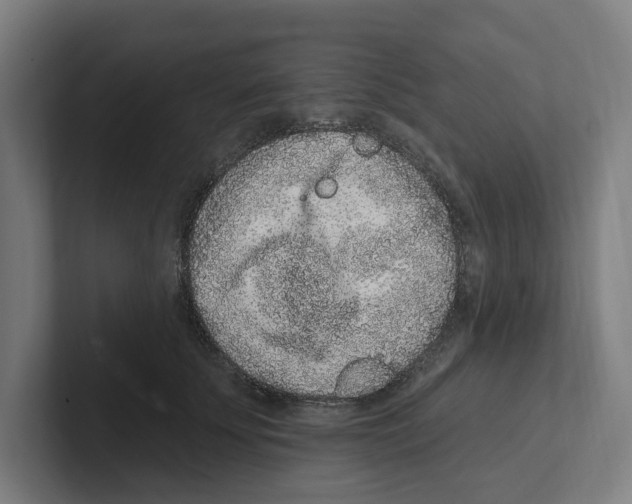 X0000102310707200808221446