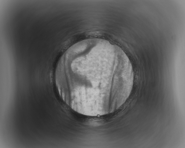 X0000102310708200808221446