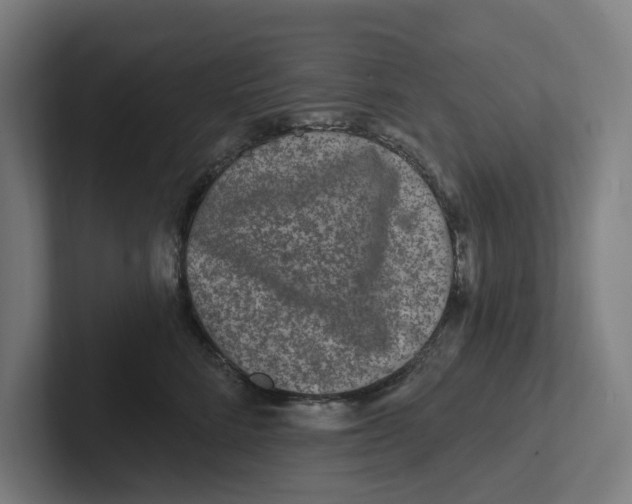X0000102310712200808221446
