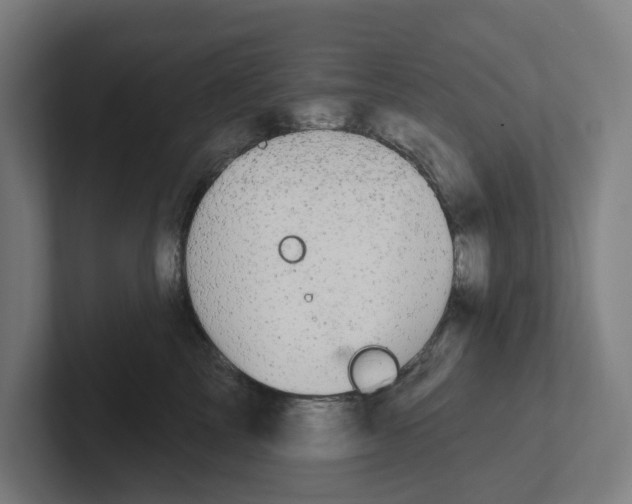 X0000102310713200808221446