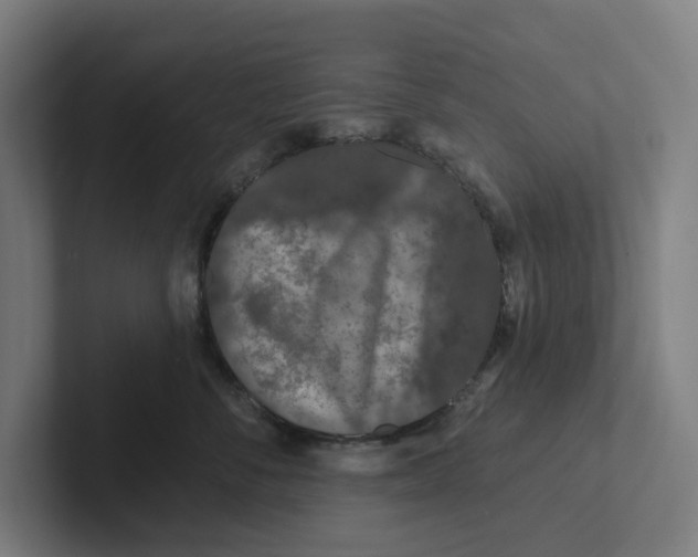 X0000102310716200808221446
