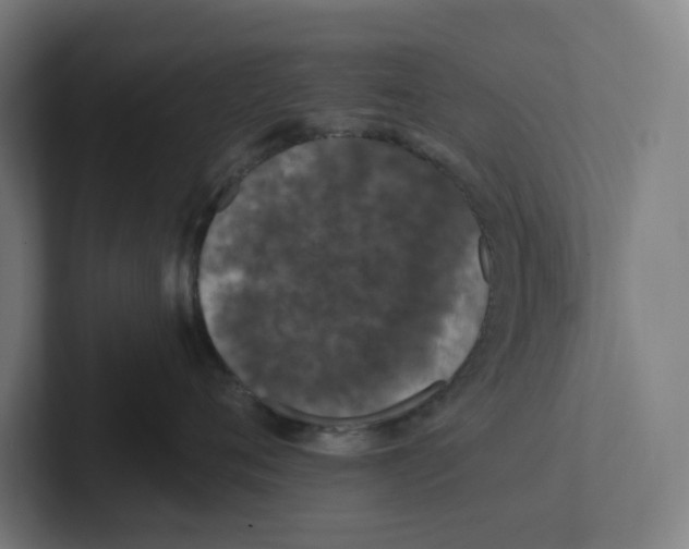 X0000102310720200808221446