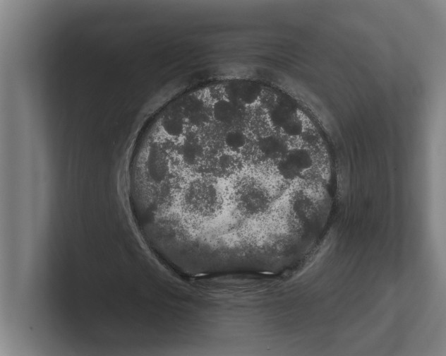 X0000102310721200808221445