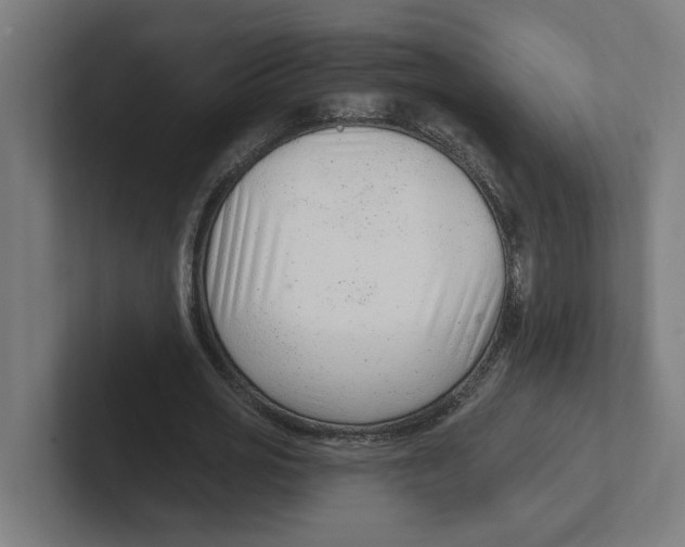 X0000102310725200808221446