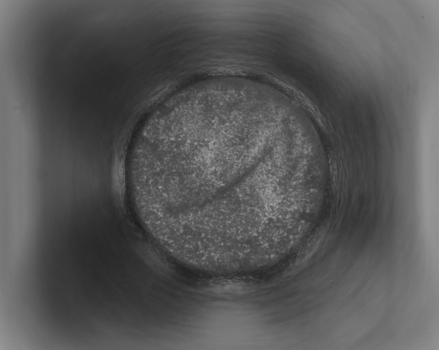 X0000102310729200808221446