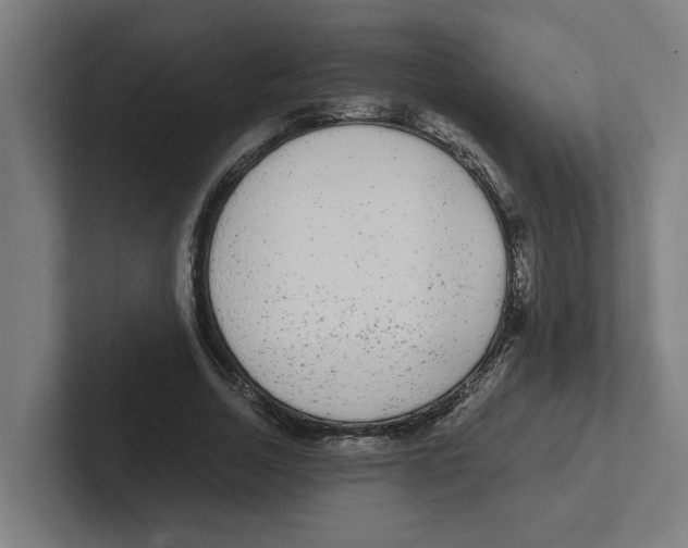 X0000102310730200808221446