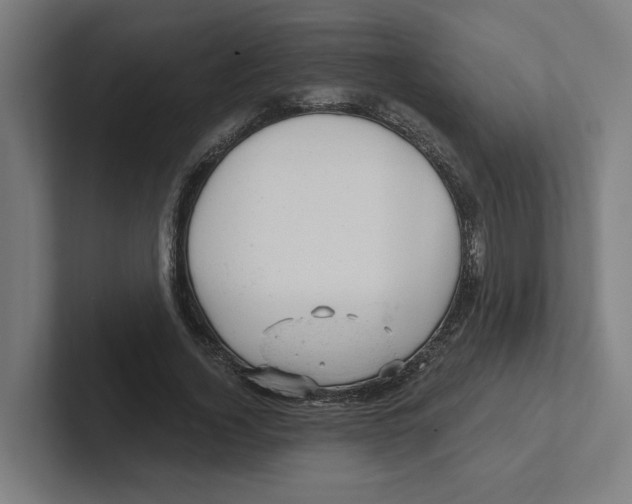 X0000102310732200808221446