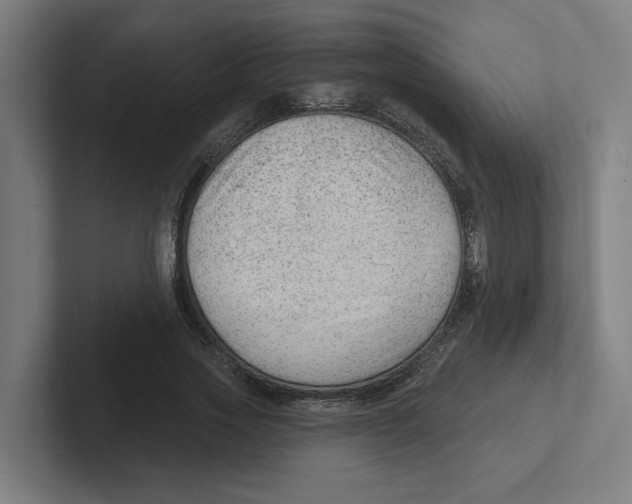 X0000102310733200808221446