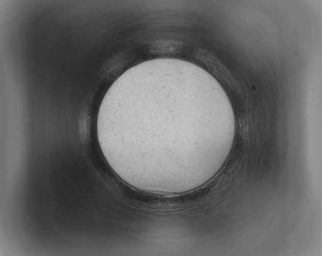 X0000102310735200808221446