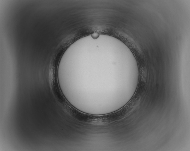 X0000102310740200808221446