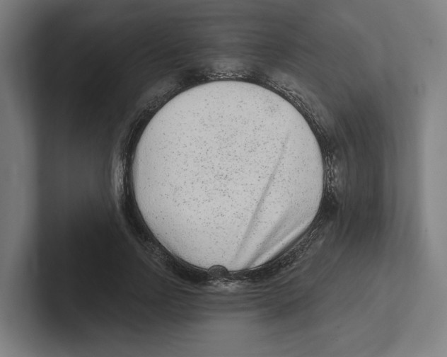 X0000102310742200808221446