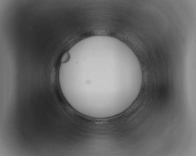 X0000102310744200808221446