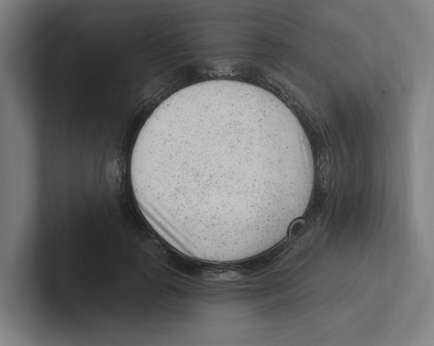 X0000102310747200808221446