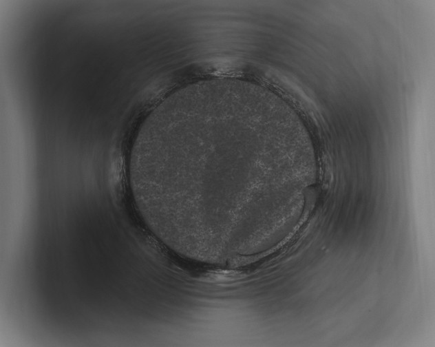 X0000102310748200808221446